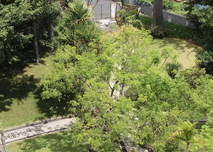 A Casa Da Dulia * Funchal (Madeira)